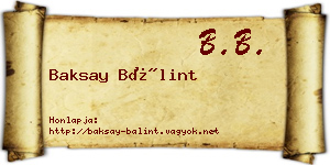Baksay Bálint névjegykártya