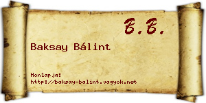 Baksay Bálint névjegykártya